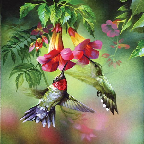 Hummingbirds Wall Art
